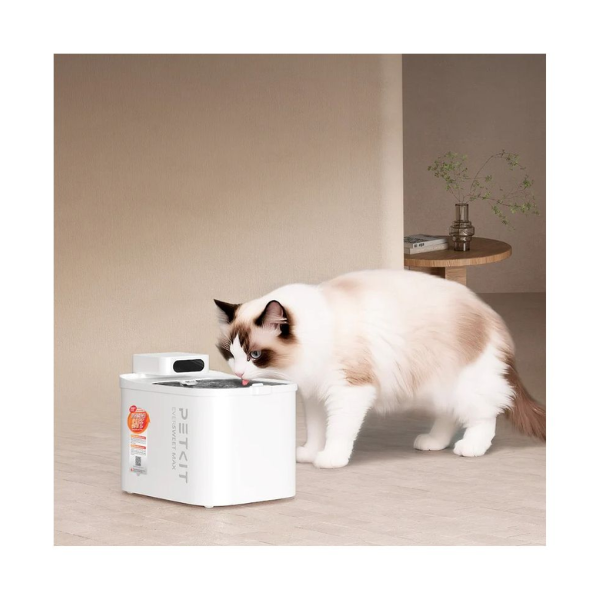 petkit bebedouro (1)